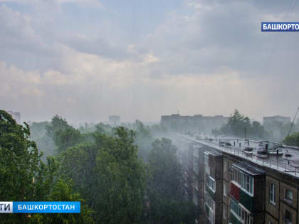 Будут идти дожди: синоптики озвучили прогноз погоды на выходные