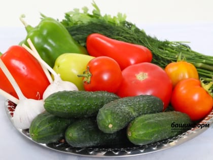 Медик из Башкирии назвала самые важные продукты и напитки для профилактики простудных заболеваний