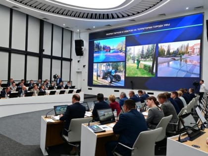 За летний сезон в Уфе планируют высадить полтора миллиона цветов