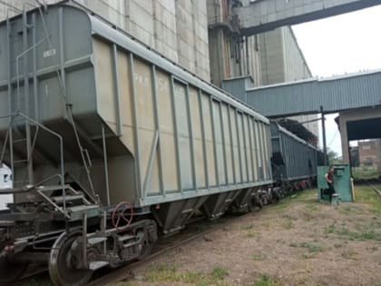 Башкирия наращивает экспорт пшеницы в Казахстан