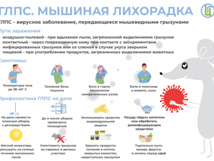 Как не заразиться мышиной лихорадкой?