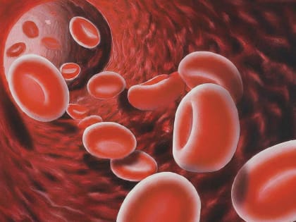 Поднимут уровень гемоглобина до 140 г/л: избежать железодефицитной анемии помогут эти продукты — таблетки глотать больше не придётся