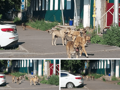 Нам страшно: жители Уфы показали улицы города