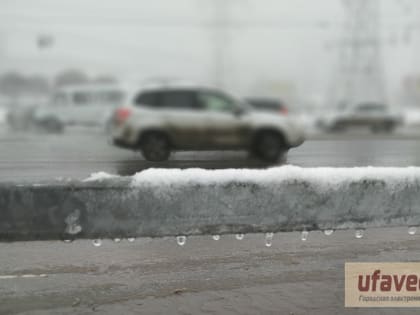 В первые выходные марта в Башкирии может потеплеть до нуля