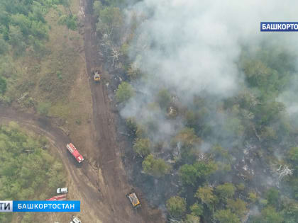 Утвержден "Сводный план тушения лесных пожаров на территории Республики Башкортостан на 2022 год"
