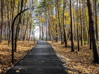 Жемчужина в осеннем лесу