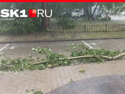 Москву затопило потоками мощного ливня