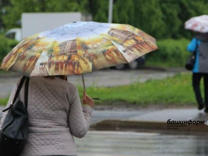 В Башкирии в ближайшие три дня будет дождливо и ветрено