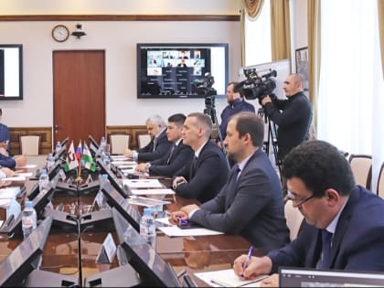 Ташкент и Уфа обсудили сотрудничество на онлайн-конференции