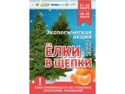 Уфимцы еще могут отведать мандарины