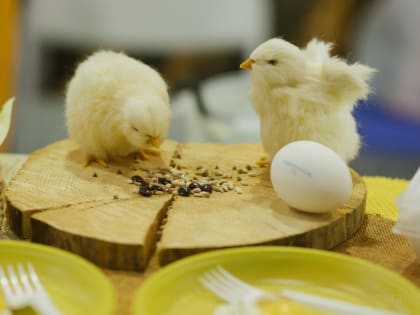 В Башкирии грантовую поддержку получили фермеры