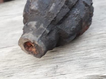 В Башкирии бабушка нашла в огороде подозрительный предмет