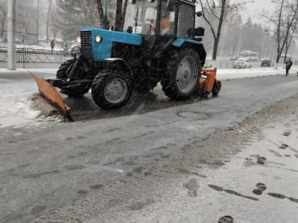 Несмотря на погоду