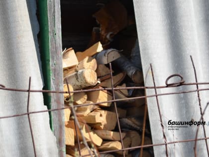 Житель Башкирии незаконно нарубил деревьев на 1,6 млн рублей