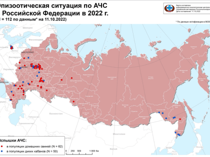 Профилактика АЧС