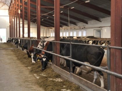 Роспотребнадзор России призвал усилить меры по недопущению чумы