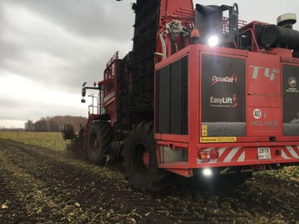 В Башкирии собрали более 390 тонн сахарной свеклы