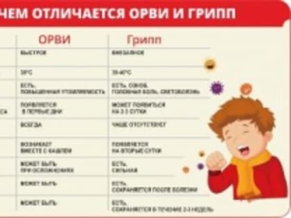 Что нужно знать о гриппе и ОРВИ?