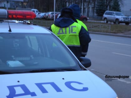 В Башкирии двое мужчин разбили стекло в патрульной машине и устроили драку с полицейскими