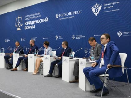 Депутат Госдумы Ирина Панькина приняла участие в работе Петербургского международного юридического форума