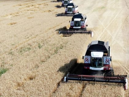 К 2030 году Россия намерена войти в пятерку мировых лидеров по экспорту продовольствия