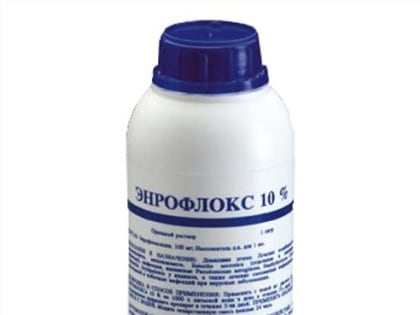 Выявлено несоответствие качества образца лекарственного препарата для ветеринарного применения «Энрофлокс 10%»