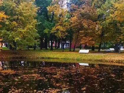 Погода в Башкирии 2 октября 2022 года: тепло и без осадков