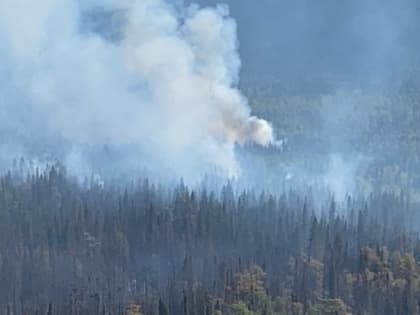 В Зилаирском районе Башкирии загорелись почти 6 га леса