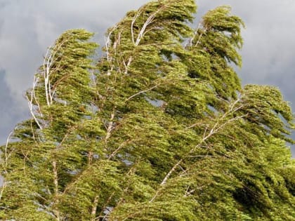Погода в Башкирии станет комфортной к концу недели