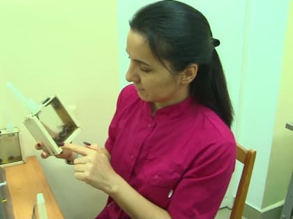 Жужжащая лаборатория: в Уфе начали разводить шмелей