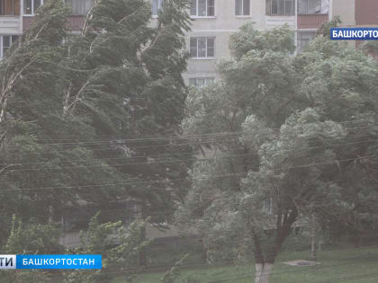 В Башкирии синоптики предупредили о грозе и усилении ветра до 18 метров в секунду