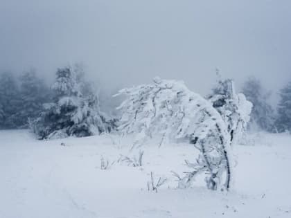 В Уфе из-за снегопада приостановили движение нескольких трамвайных маршрутов