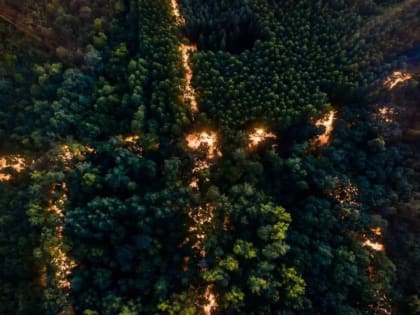 В Непейцевском дендропарке Уфы смонтировали почти 2 километра освещения