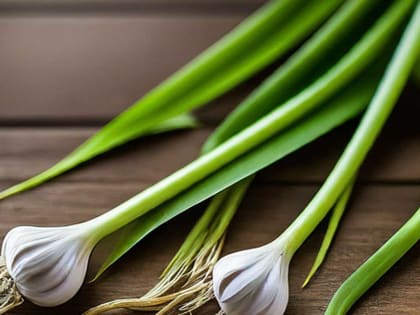 Беру ножницы и делаю пару движений: обрезать чесночные стрелки можно только так — никакого вреда для растений и урожая