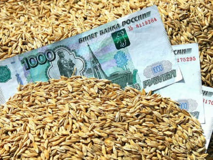 В ходе зерновых интервенций аграрии Башкирии продали 127 тысяч тонн зерновых по ценам выше рынка