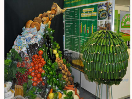 Продуктовая безопасность: как обеспечить жителей Башкирии доступной едой и не разорить аграриев?