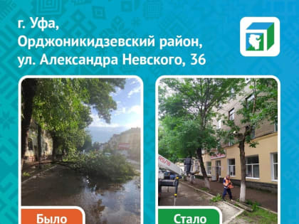 Житель Уфы пожаловался Радию Хабирову на угрозу ЧП из-за упавшего дерева