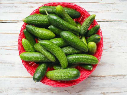 Огурцы не будут болеть: замочите семена в этом растворе