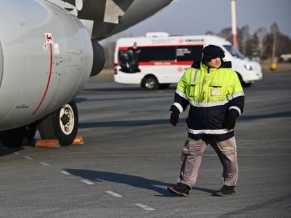 На закрылке летевшего в Уфу самолета при странных обстоятельствах нашли мертвую птицу
