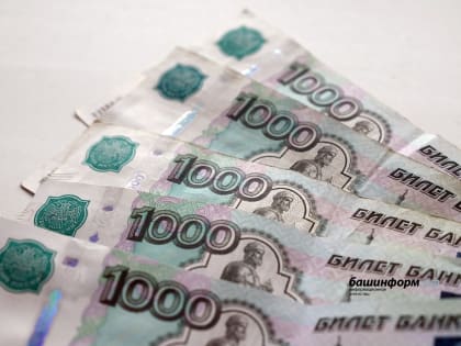 Глава Башкирии поручил учесть в бюджете на 2023 год финансирование на переработку сельхозпродукции