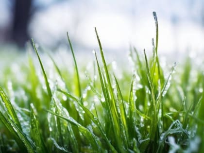 В Башкирии два дня будет холодно