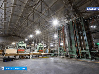 В Башкирии выработка производства фанеры увеличилась на 10%