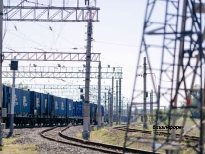 Экспорт зерна из Башкирии в январе — августе вырос в 10 раз