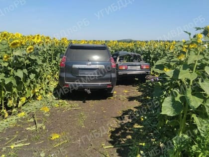 В Гафурийском районе Башкирии в ДТП погибла водитель ВАЗа