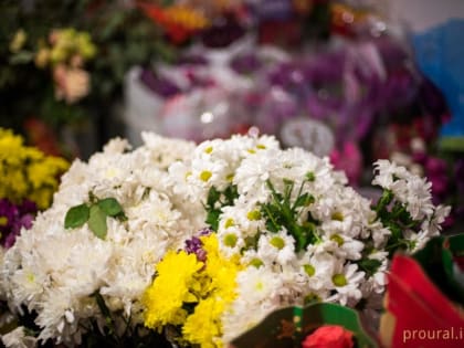 Школьница из Уфимского района – в числе победителей всероссийского конкурса «Первые шаги в науке»