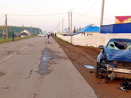 В Башкирии под колесами Audi A5 погибли четыре женщины-пешехода