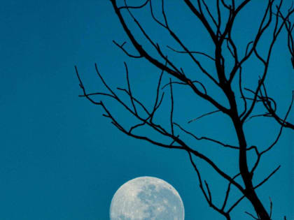 Какой сегодня лунный день 23 июля 2022 года