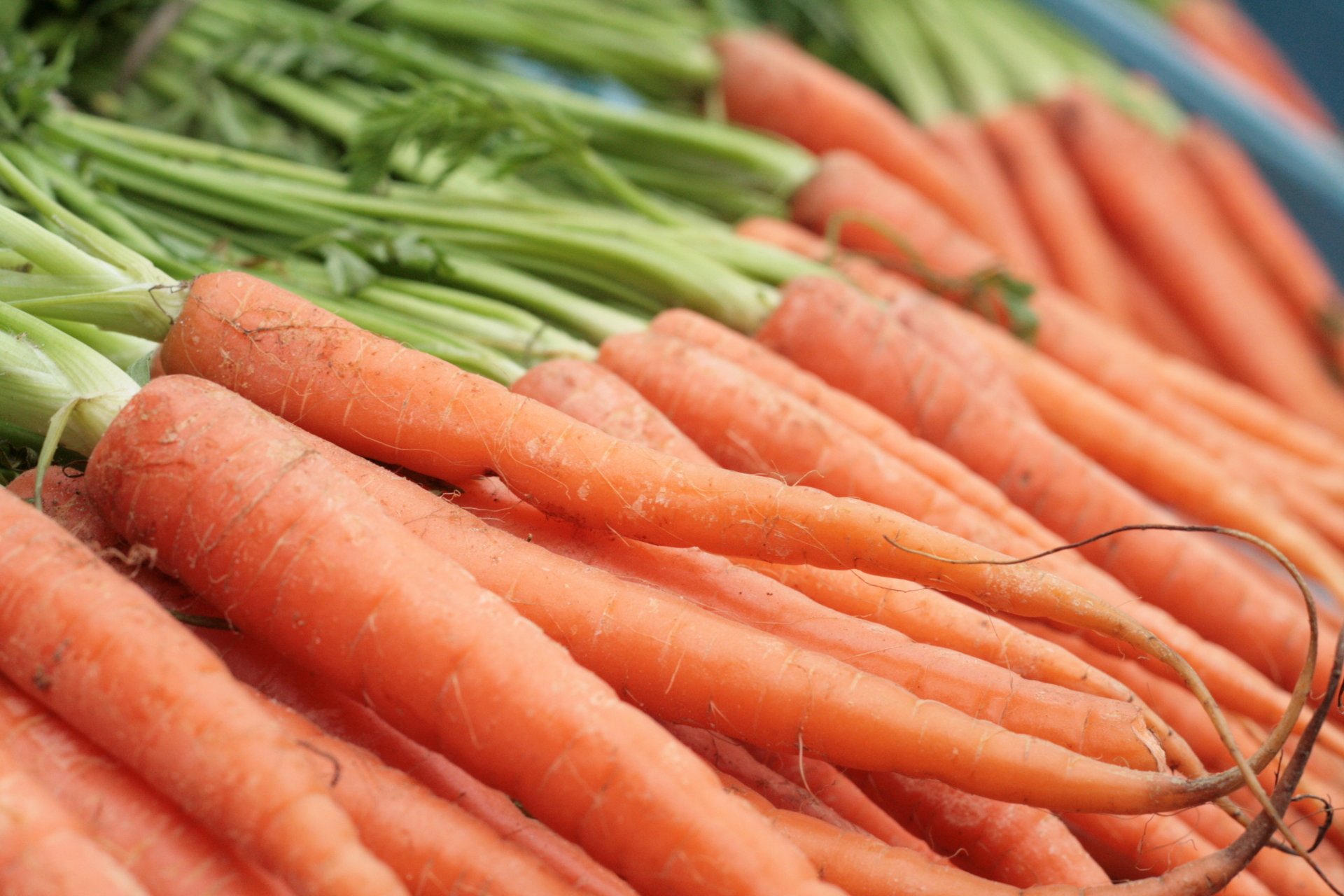 Fresh Carrots | తాజా క్యారెట్లు