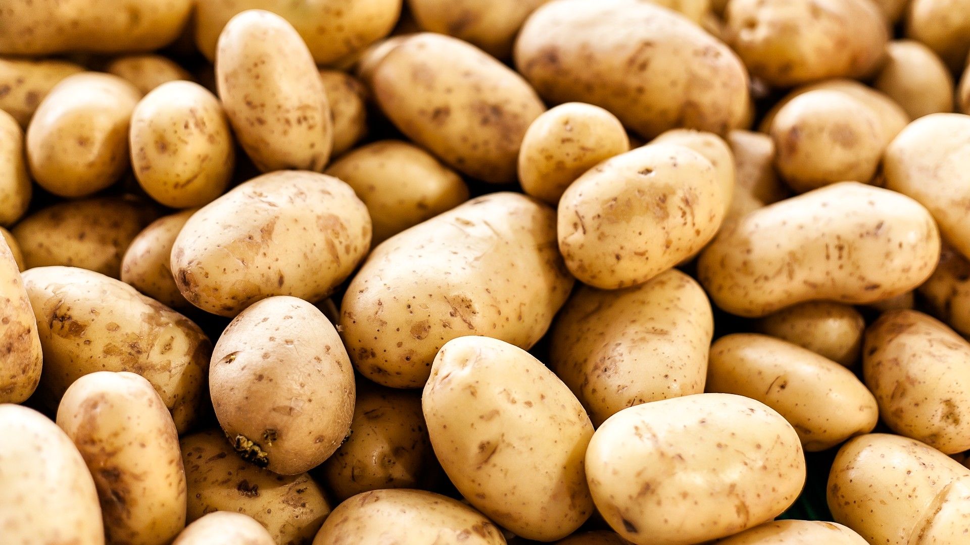 Fresh Potatoes | తాజా బంగాళాదుంపలు