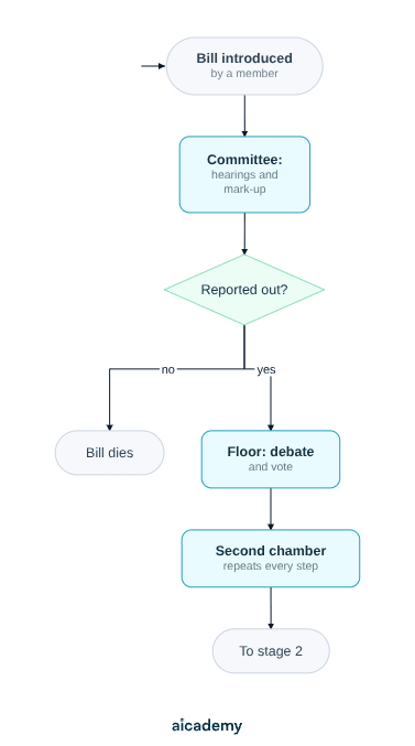Flowchart of the first stage: a member introduces a bill, a committee holds hearings and marks it up, and the bill dies unless it is reported out; it then goes to floor debate and a vote, and the second chamber repeats every step.